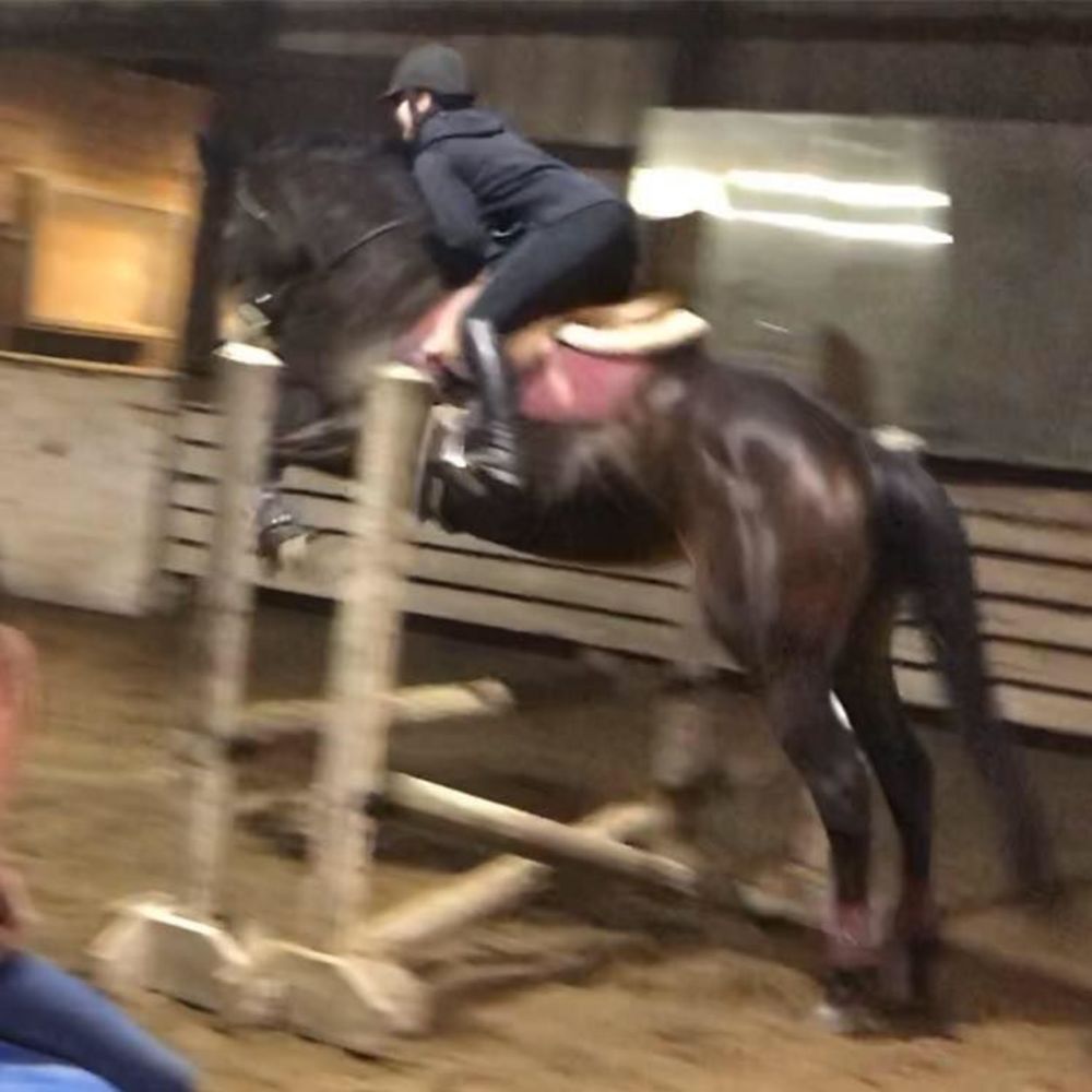 Meet your Posher, Elia